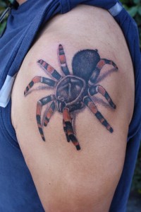 Wicked 3D Tarantula Tattoo on Arm