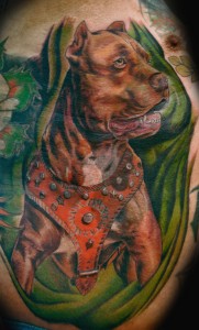 Pit Bull Dog Tattoo